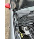 Bonnet Support Struts