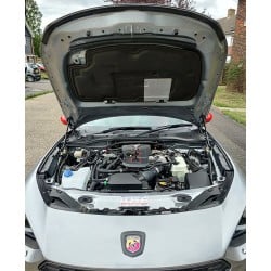 Bonnet Support Struts (pair)