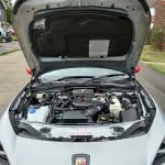 Bonnet Support Struts (pair)